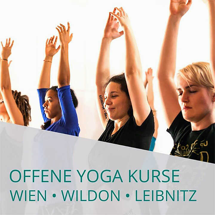 Offene Yoga Kurse